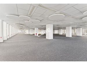 Location Local Professionnel 1 797m²