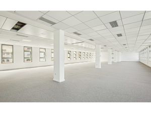 Location Local Professionnel 1 034m²