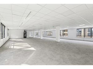 Location Local Professionnel 2 596m²