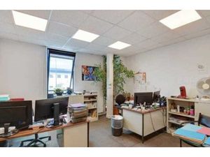 Location Local Professionnel 2 153m²