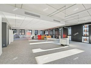 Location Local Professionnel 894m²