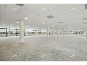 Location Local Professionnel 649m²