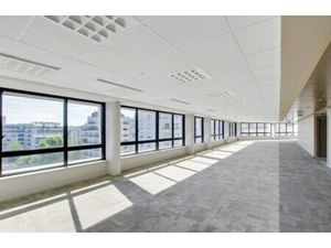 Location Local Professionnel 3 472m²