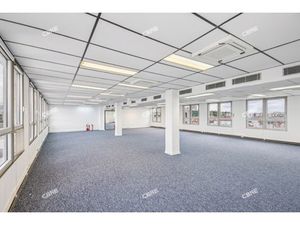 Location Local Professionnel 388m²