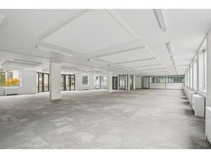 Location Local Professionnel 15 192m²