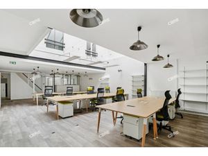 Location Local Professionnel 320m²