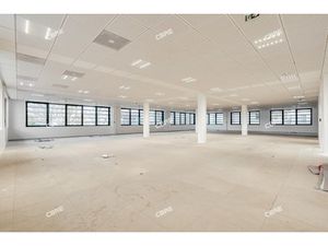 Location Local Professionnel 521m²