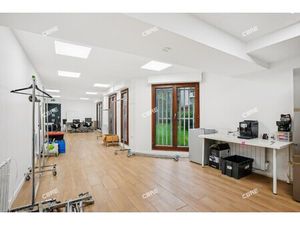 Location Local Professionnel 335m²