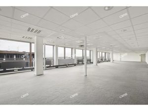 Location Local Professionnel 1 832m²