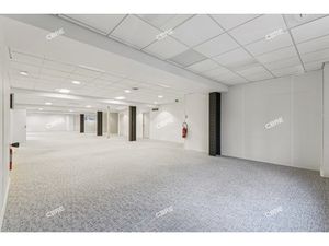 Location Local Professionnel 749m²