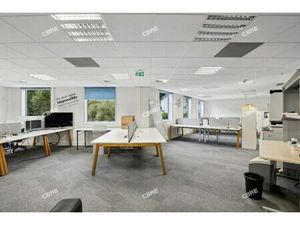 Location Local Professionnel 292m²