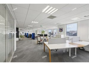 Location Local Professionnel 303m²