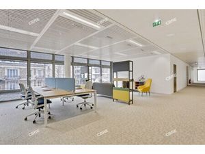 Location Local Professionnel 6 689m²