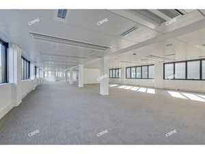 Location Local Professionnel 1 694m²