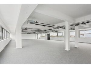 Location Local Professionnel 200m²