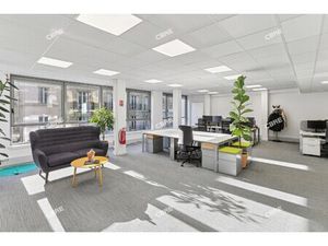 Location Local Professionnel 524m²