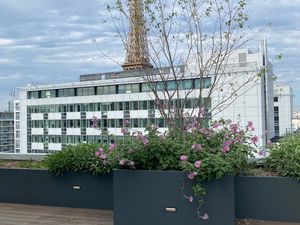 Location Local Professionnel 6 230m²