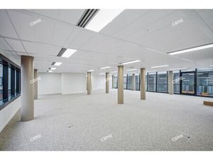 Location Local Professionnel 408m²