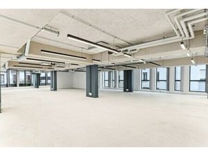 Location Local Professionnel 223m²