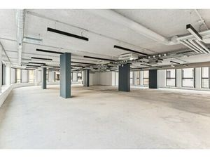 Location Local Professionnel 333m²