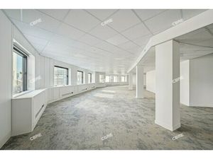 Location Local Professionnel 489m²