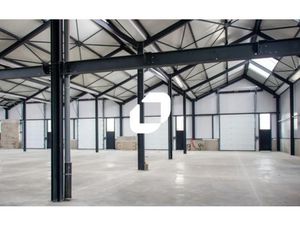 Vente Local d'activités Toussieu 69780