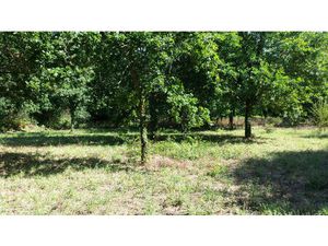 Achat Terrain 1 640m² LA TURBALLE 44420