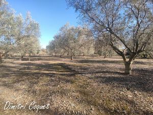 Vente terrain 3000 m² Roujan (34320)