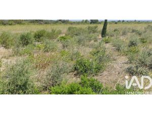 Vente Terrain à La Palme (11480) : à vendre / 3510m² La Palme