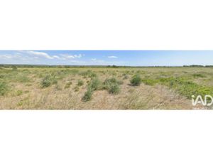 Vente Terrain à La Palme (11480) : à vendre / 3645m² La Palme