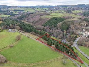 Terrain à bâtir à vendre à Chemin de Florêt LOT 5 Lierneux (VBD63566)