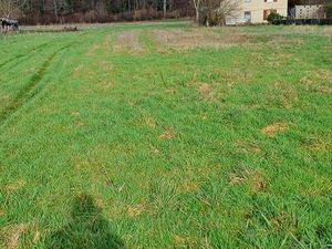 Terrain à bâtir viabilisé à Grand Bourgtheroulde