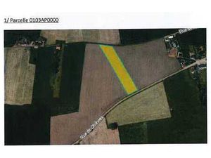 Vente terre agricole à Bernissart