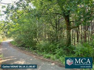 Terrain constructible viabilisé à vendre