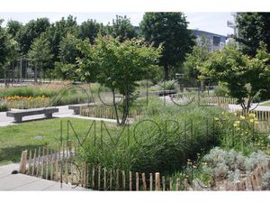 3 PIECES AVEC GRAND BALCON DE 14m²