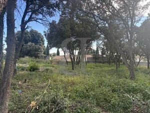 Terrain constructible viabilisé à vendre