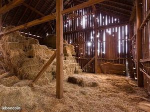 Recherche local stockage