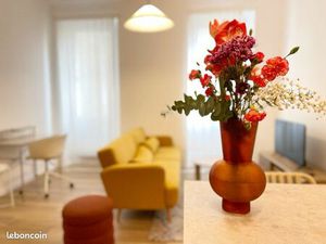 Beau T2 meublé de 39 m² – Belle de Mai