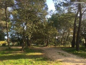 EGUILLES à la campagne