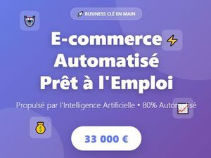 Business e-commerce clé en main – idéal pour entrepreneur souhaitant passer au digital