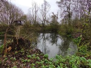 Terrain 1 150 m² Cartigny