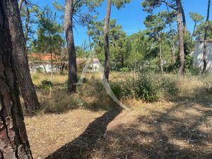 en vente Terrain non constructible 477 m² – 264 000 € |La Tranche-sur-Mer