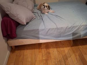 Cherche étudiante loue une chambre