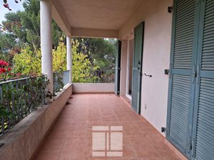 À VENDRE PATRIMONIO Appartement T2 AVEC TERRASSE