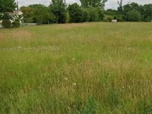 Vente terrain 1256 m² à Pisany (17600)  125 000 €