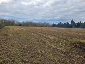 Terrain bord de D973 pour expo