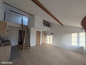 Magnifique appartement rénové à neuf  style loft avec mezzanine