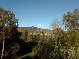 Vente terrain 2257 m² à Saint-Gély-du-Fesc (34980)  348 000 €