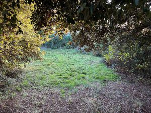 Appartement 60.3 m²