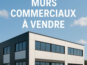 VENTE MURS COMMERCIAUX